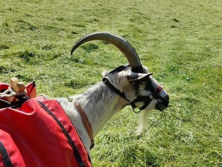 Kurztrekking mit Anlaufschwierigkeiten