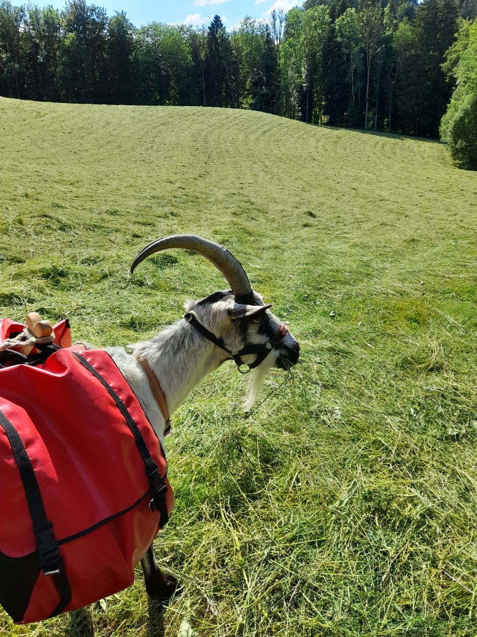 Kurztrekking mit Anlaufschwierigkeiten