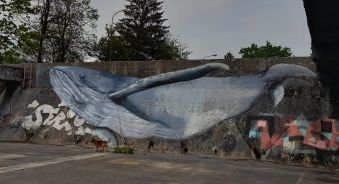 Volpino und Wal Volpino und Wal