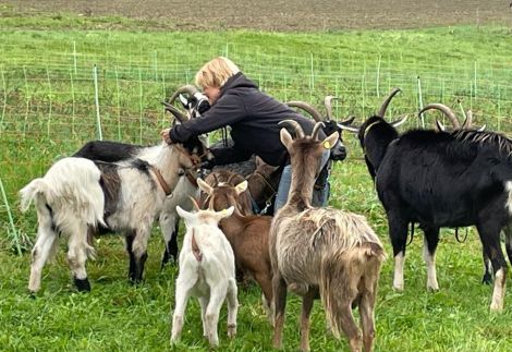 Mensch und Tier freuen sich beim Abholen!