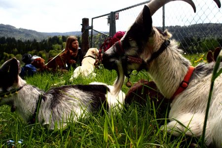 Fanciulla und Maj